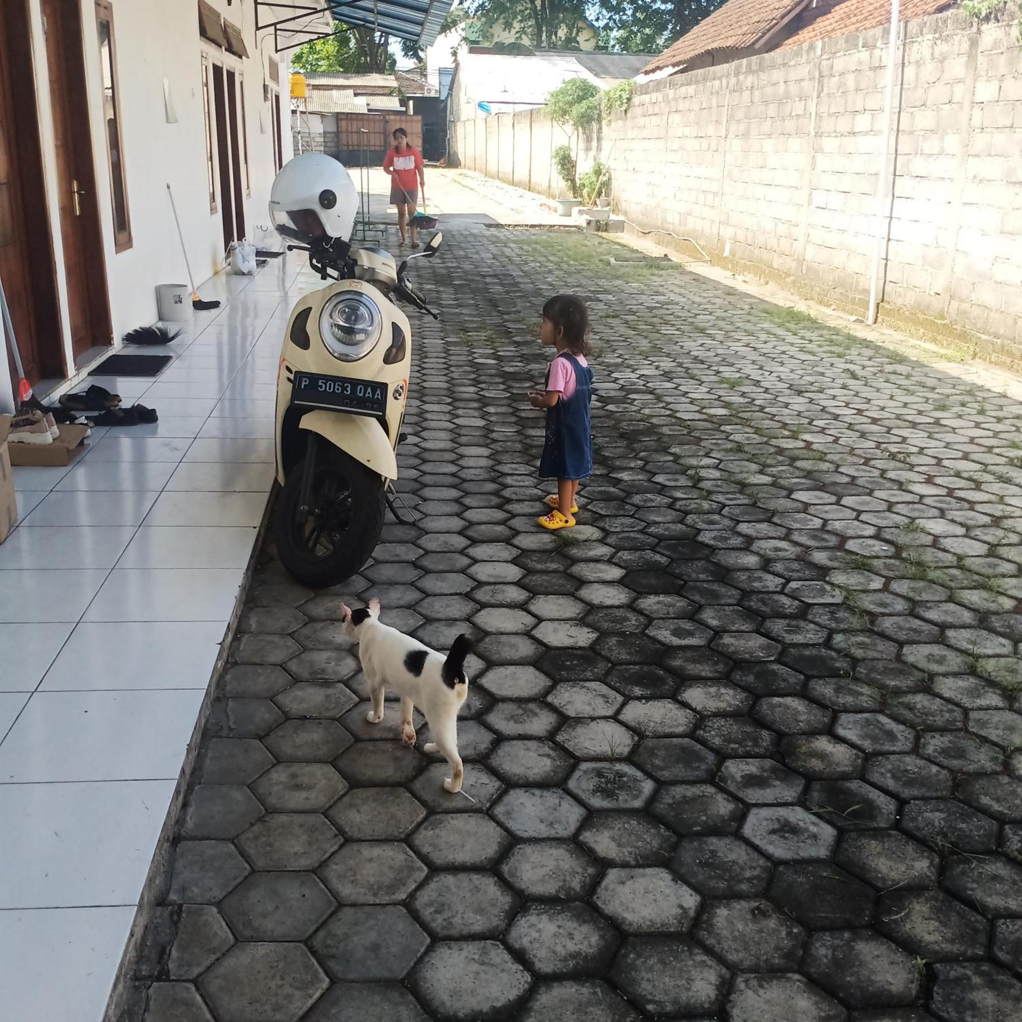 Mentari Kost Tempat Tidur & Sarapan *